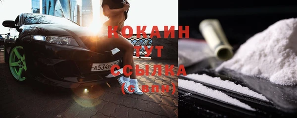 стаф Абинск