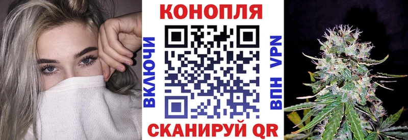 как найти закладки  Ясный  omg   Канабис SATIVA & INDICA 